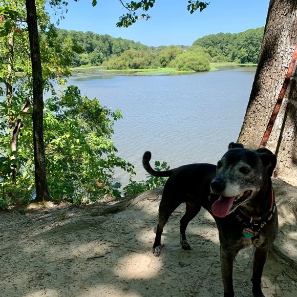 ✨Welcome! To My Shop✨ - Picture 4 of 7